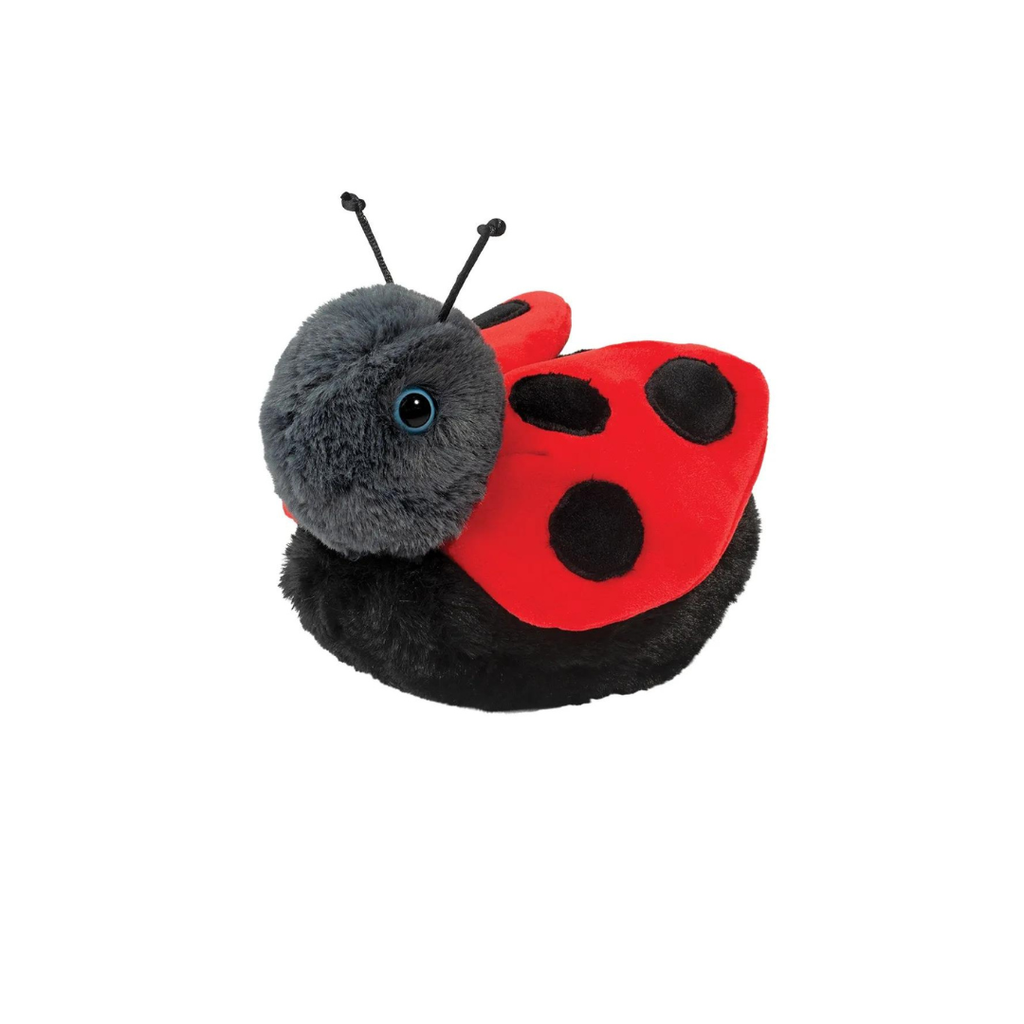 Image of Bert Ladybug