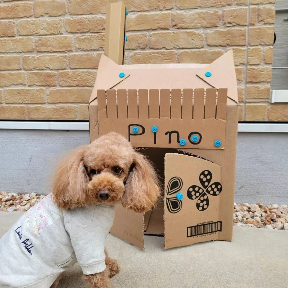 Small dog sitting next to a custom cardboard box with 'Pino' written on it, against a brick wall.
