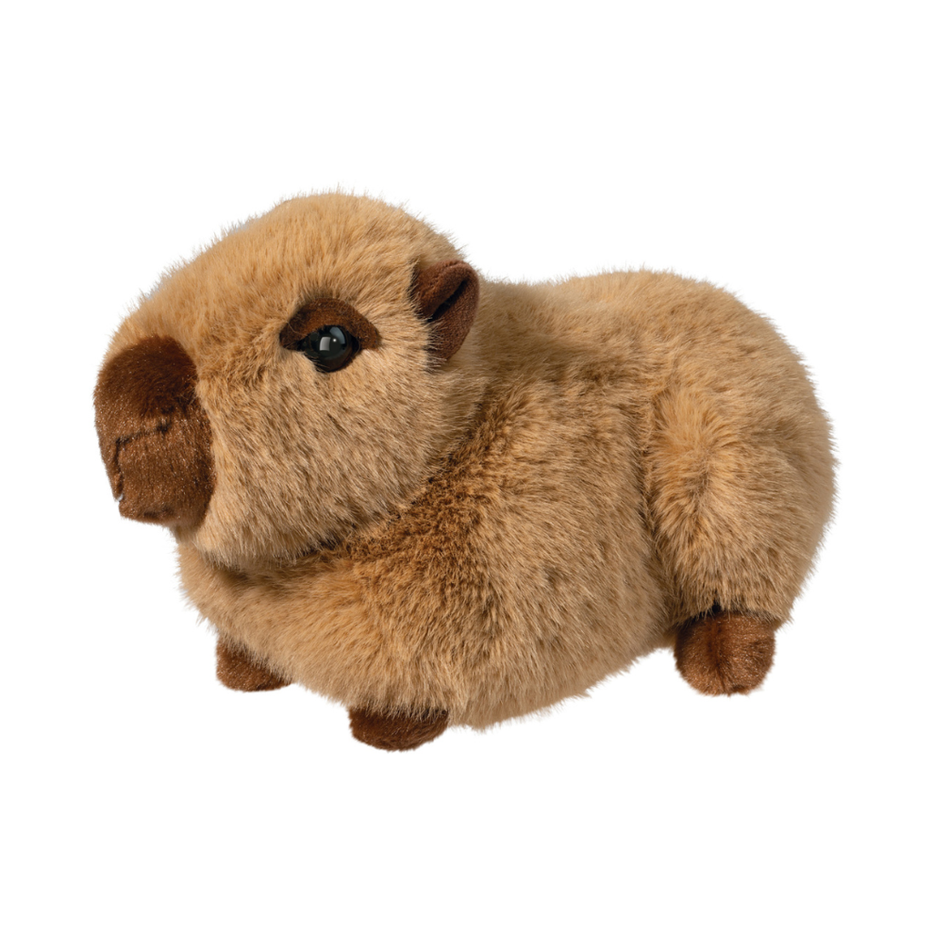 Image of Chattie Capybara