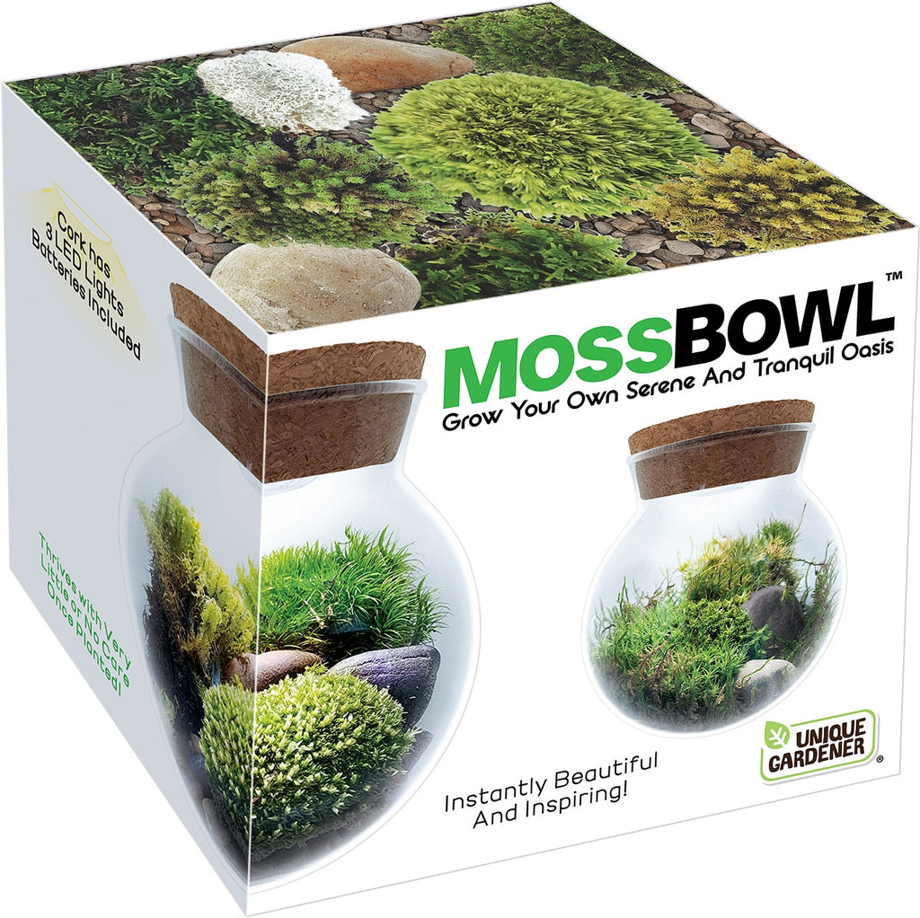 MossBowl packaging with moss and rocks on a white background