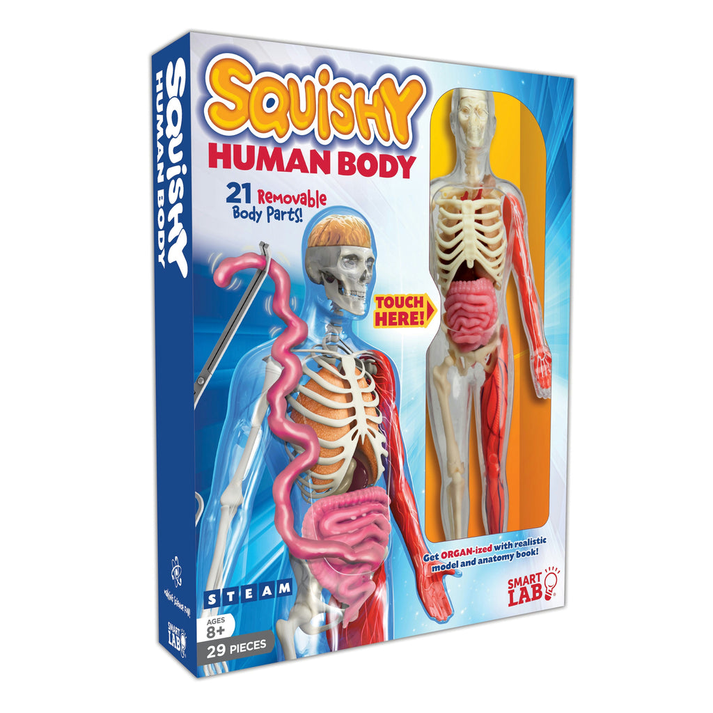 Squishy Human Body toy set packaging with anatomical illustrations on a white background