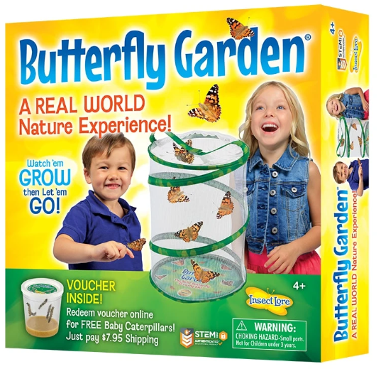 Image of Insect Lore Butterfly Garden packaging