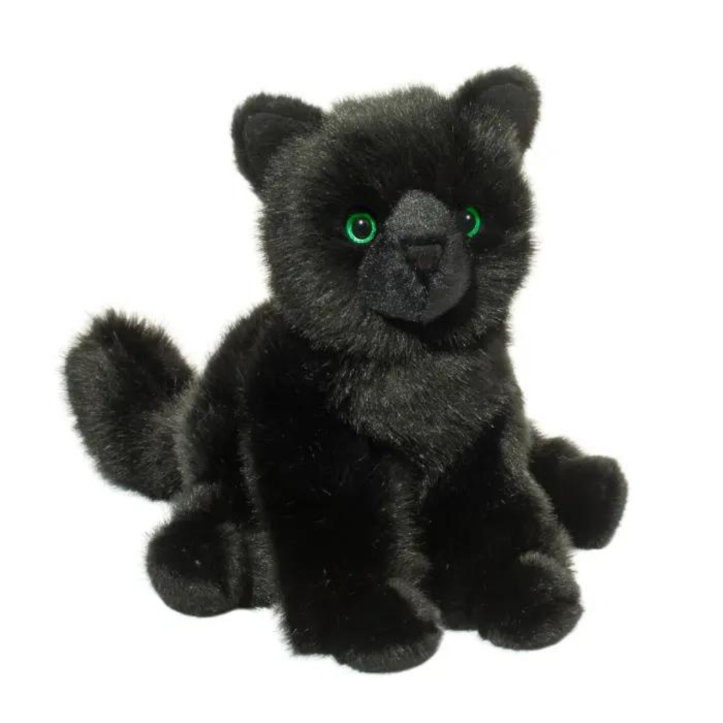 Image of Salem Black Cat Sitting