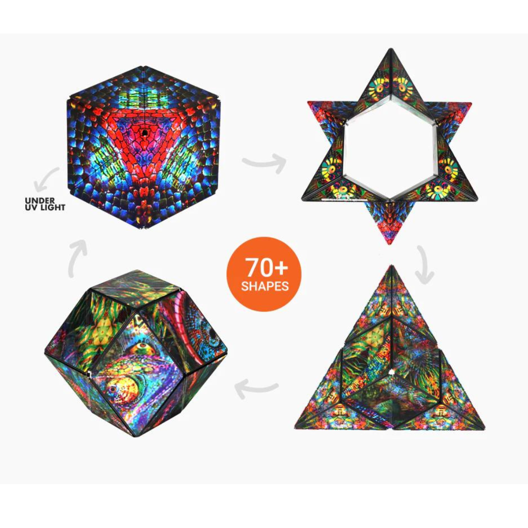 Shashibo The Chameleon Little Lincoln s Toy Shop