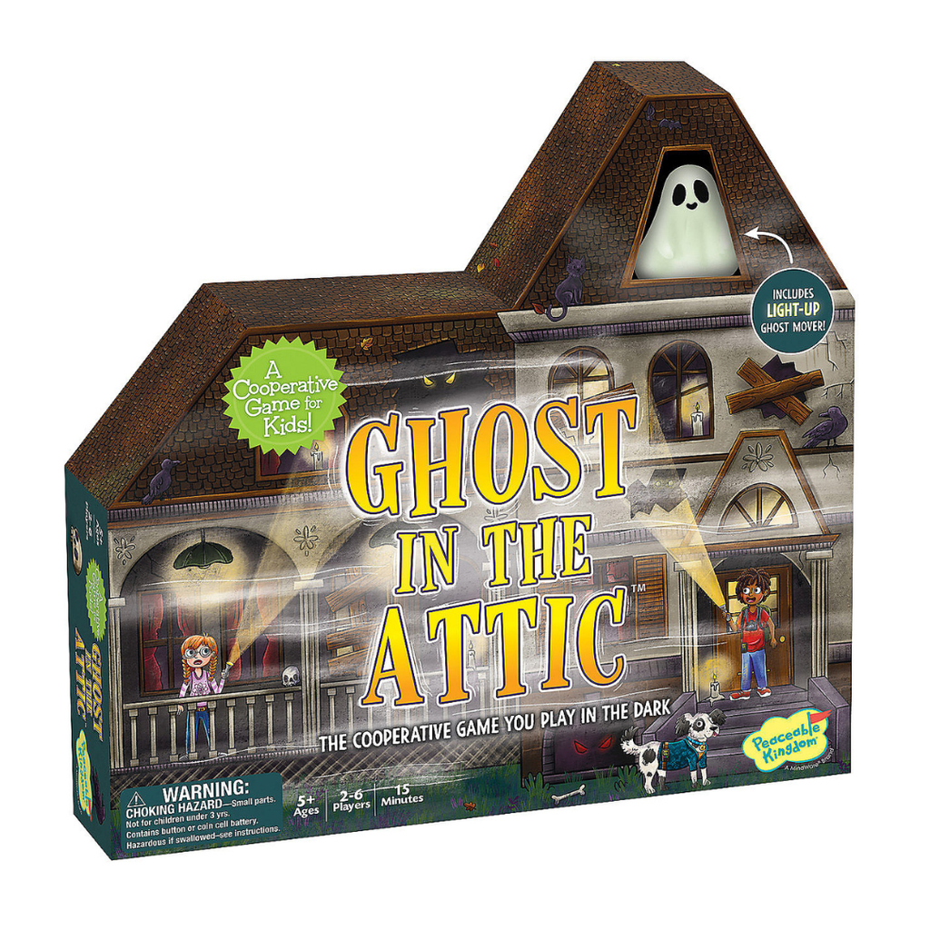 Image of Ghost in the Attic