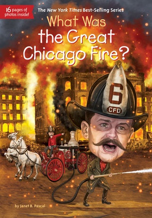 Image of What Was the Great Chicago Fire? book cover