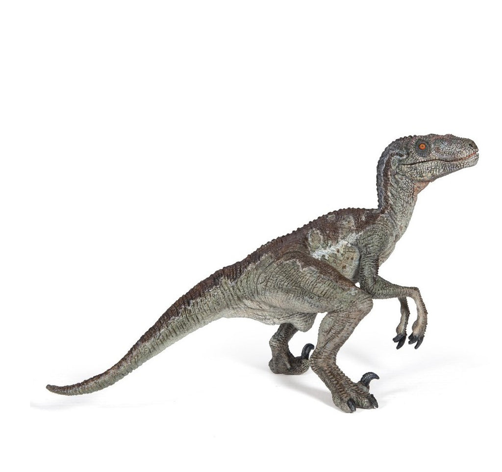 Image of Papo Velociraptor